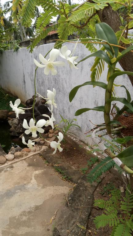 Leisure In Galle Exterior photo